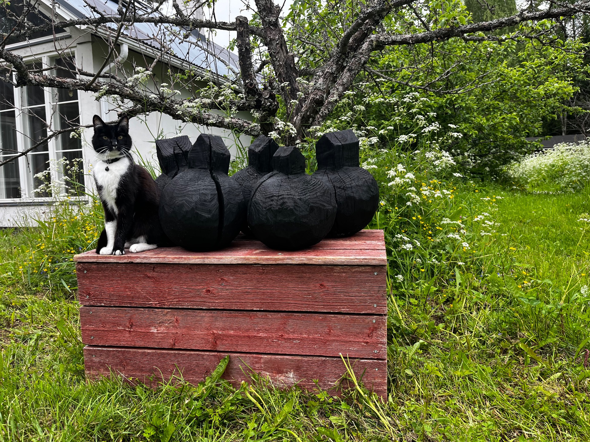 Pasi Karjulan teos ja Janttu, kesä 2025